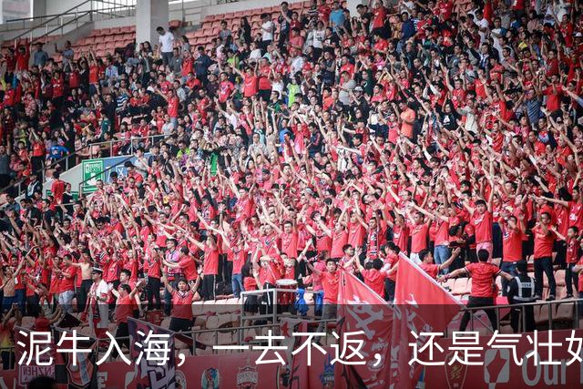 泥牛入海，一去不返，还是气壮如牛，卷土重来？这些新星给出了答案